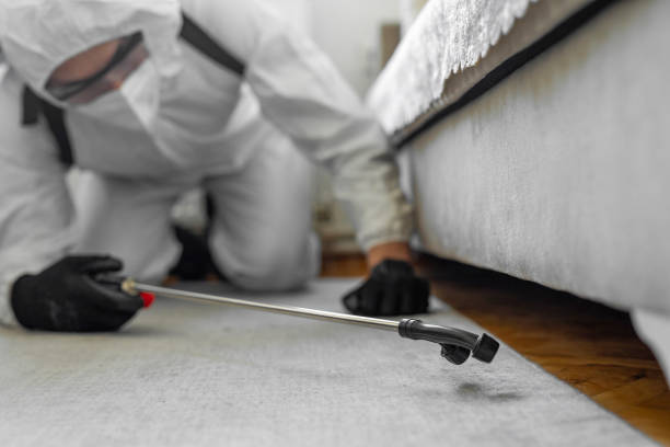 Professional Bed Bug Control technician working in Fairmont, WV