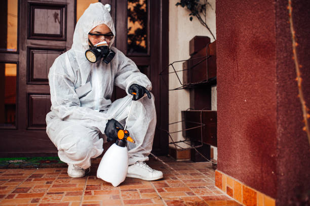 Reliable Bed Bug Control contractor in Fairmont, WV by Nex Pest Control