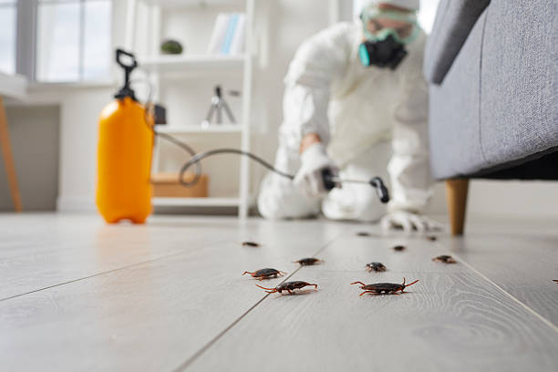 Trusted Fumigation Services service in Fairmont, WV - Nex Pest Control