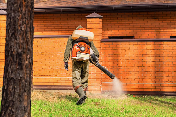 Trusted Rodent Control service in Fairmont, WV - Nex Pest Control